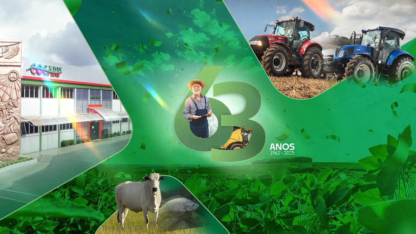 Cocari — Aniversário — KV de campanha, aplicação 1
