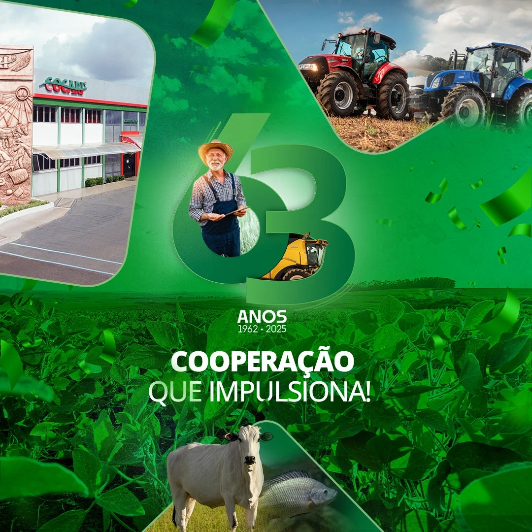 Cocari — Aniversário — KV de campanha, aplicação 3